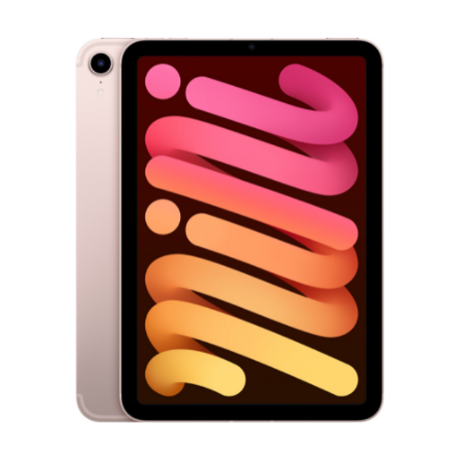 Apple 6th Gen iPad Mini 8.3" 256 GB Pink