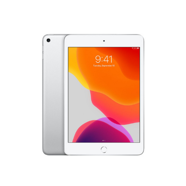 Apple 5th Gen iPad Mini 9.7" 256 GB Silver