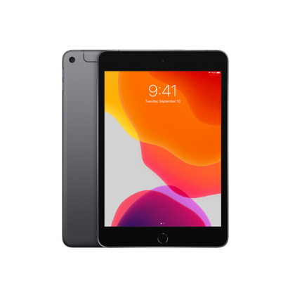 Apple 5th Gen iPad Mini 7.9" 256 GB Grey