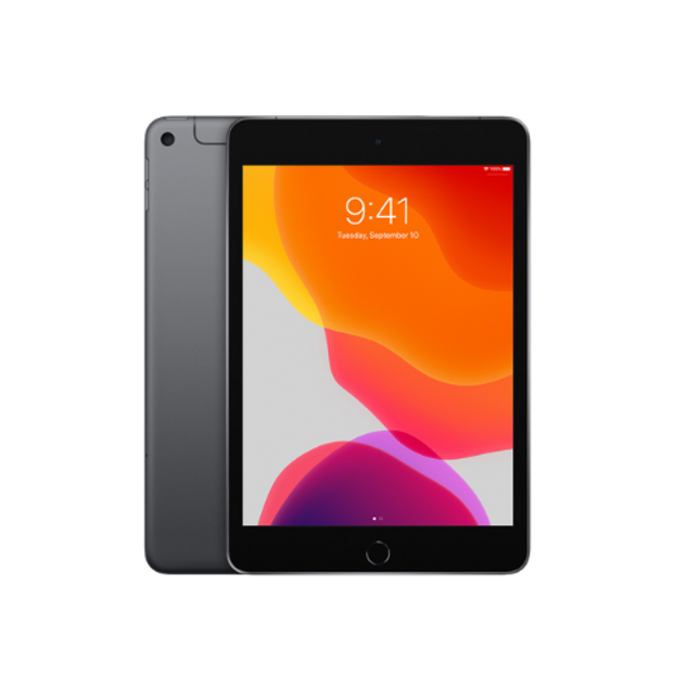 Apple 5th Gen iPad Mini 7.9" 64 GB Grey