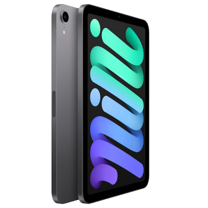 Apple 6th Gen iPad Mini 8.3" 64 GB Grey