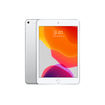 Apple 5th Gen iPad Mini 7.9" 256 GB Silver