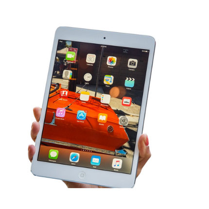 Apple 5th Gen iPad Mini 7.9" 256 GB Silver