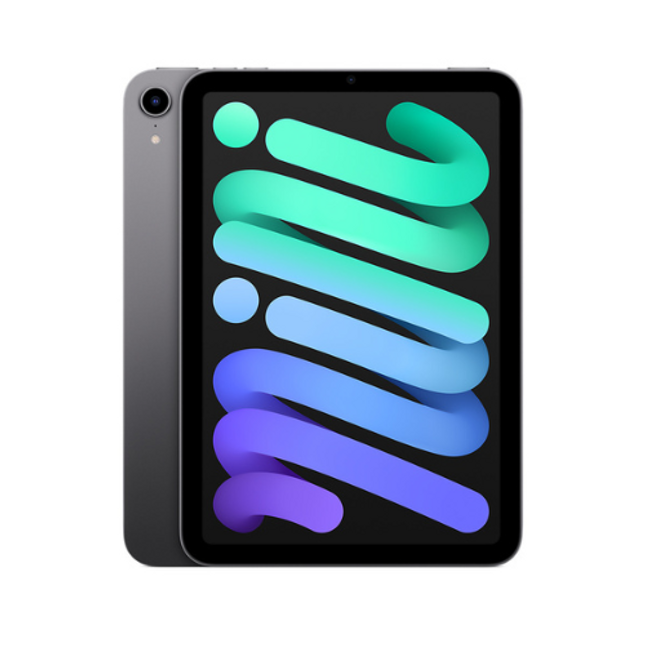 Apple 6th Gen iPad Mini 8.3" 256 GB Grey