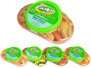 gulp alive 6 squid vicious tubs