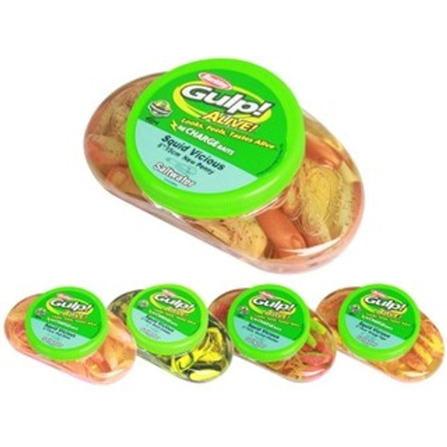 gulp alive 6 squid vicious tubs