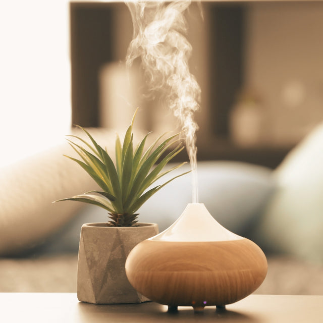 Home Care & Essentials