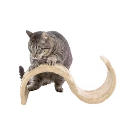 CAT SCRATCHER WAVE