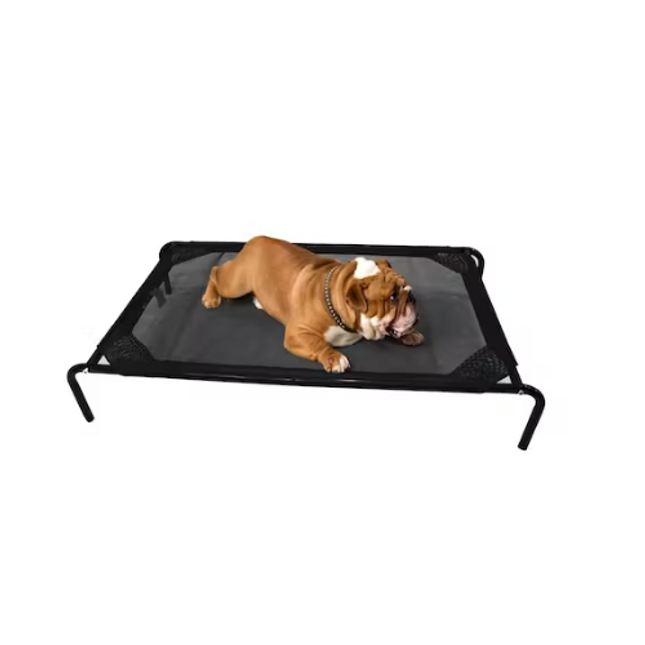 FETCH RAISED DOG BED MEDIUM