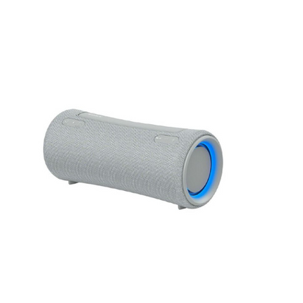 Sony XG300 X-Series Portable Wireless Speaker - Grey