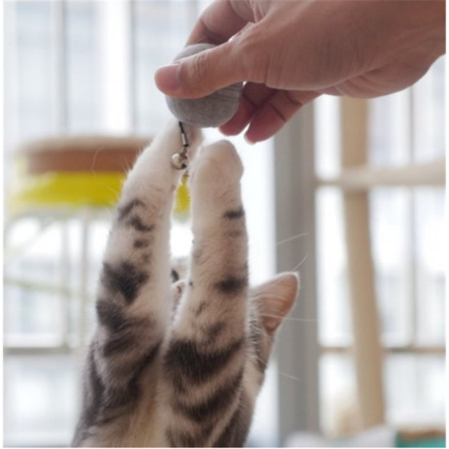 Cheerble M1 Mini Cat Ball - Grey