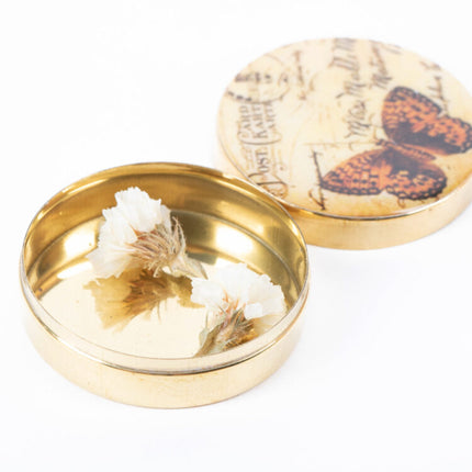 butterfly pill box