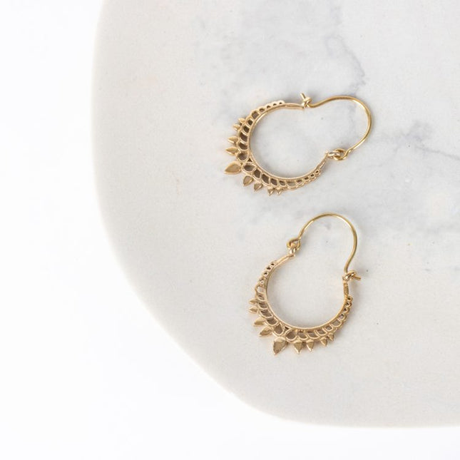 gold col crown earrings