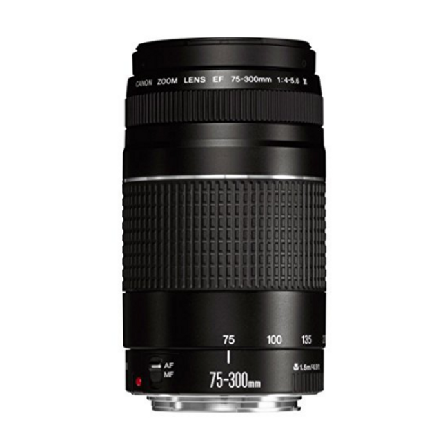 Canon Camera Lens f4-5.6 III EF 75-300mm Black