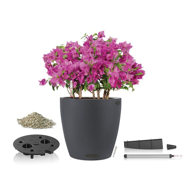 lechuza classico pot colour 28 slate