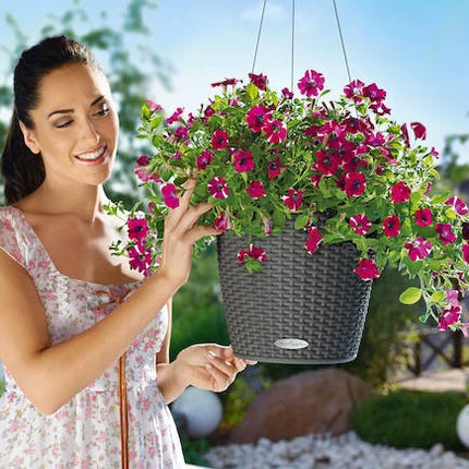 lechuza hanging planter Lechuza Nido Cottage Hanging Planter 270mm