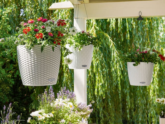 lechuza hanging planter Lechuza Nido Cottage Hanging Planter 270mm