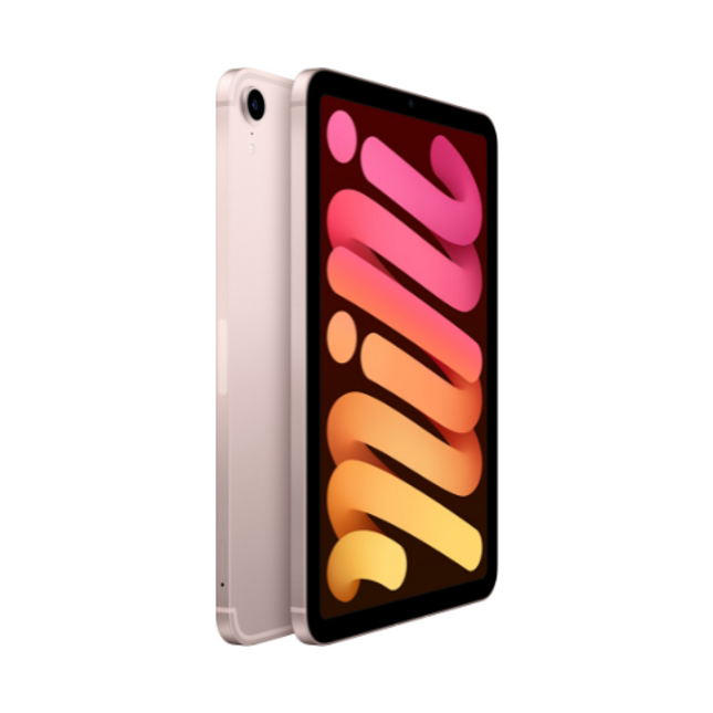Apple 6th Gen iPad Mini 8.3" 256 GB Pink