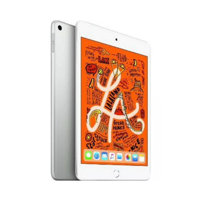 Apple 5th Gen iPad Mini 9.7" 256 GB Silver