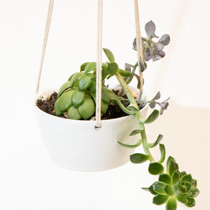 white hanging planter