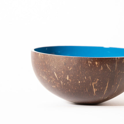 fish coconut shell bowl