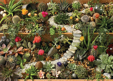 succulent garden 1000 pcs