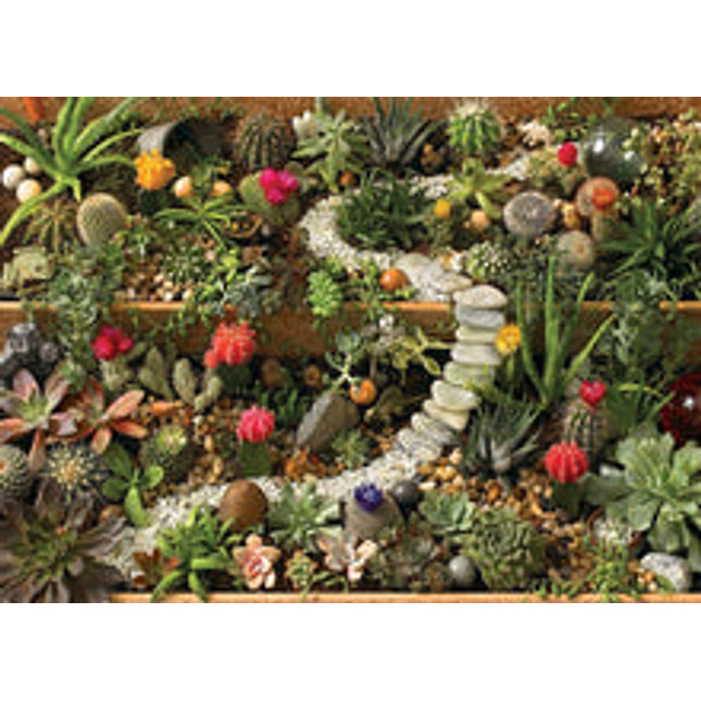 succulent garden 1000 pcs