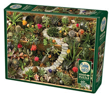 succulent garden 1000 pcs