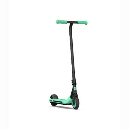 Segway EL01272 Kickscooter Black & Green