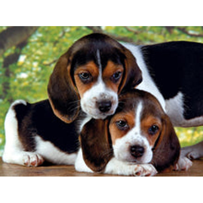 500 pc close together puzzle beagle puppies