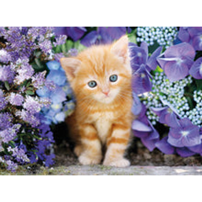 ginger cat in flowers 500 pcs