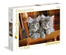 500 pc two grey kittens