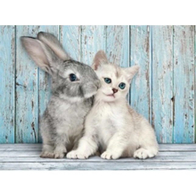 500 pc cat and bunny