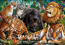 500 pcs hqc wild cats
