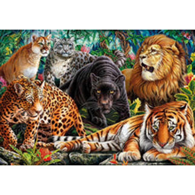 500 pcs hqc wild cats