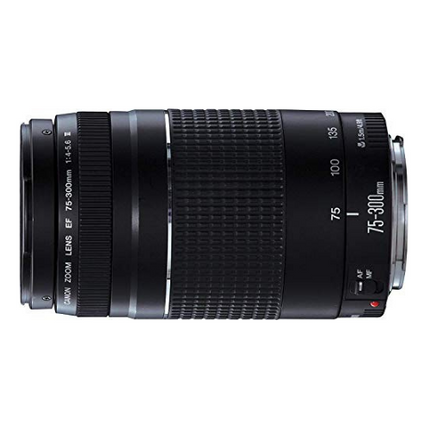 Canon Camera Lens f4-5.6 III EF 75-300mm Black