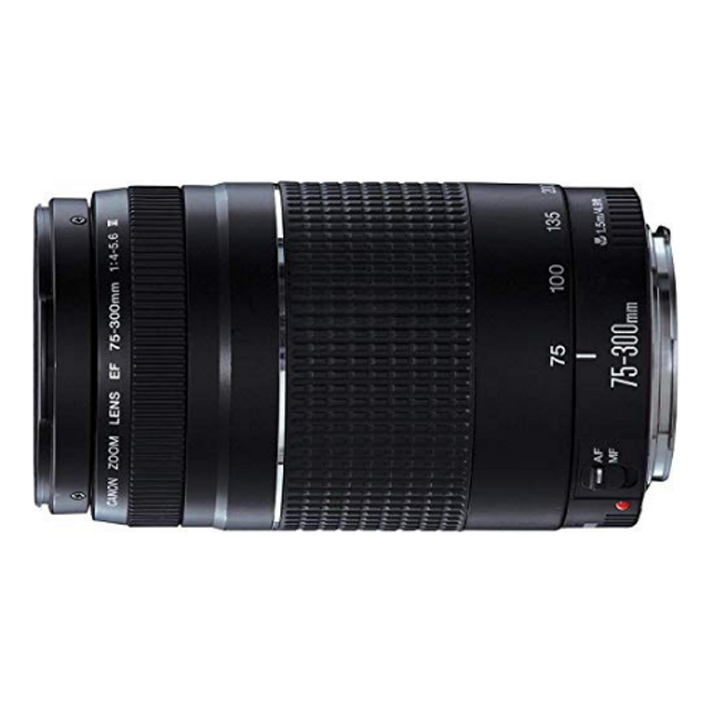 Canon Camera Lens f4-5.6 III EF 75-300mm Black