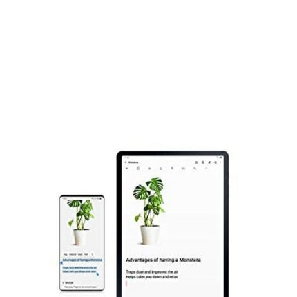 Samsung Tab S6 10.4" 64 GB Grey