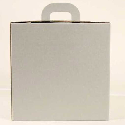 square silver gift carry box 100 x 100 x 100 mm 10 bundle