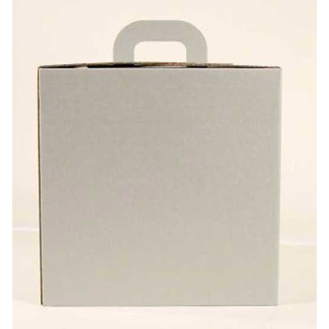 square silver gift carry box 100 x 100 x 100 mm 10 bundle