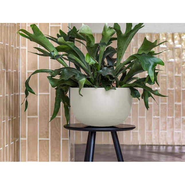 ronda fiberstone planter cream 21 l