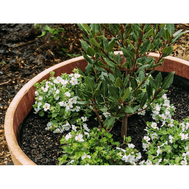 wine barrel half liner kit