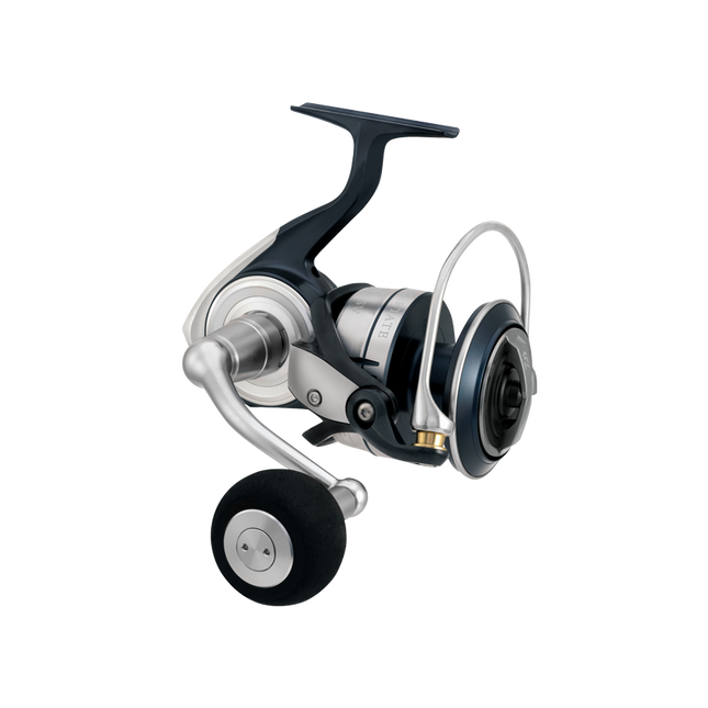 daiwa certate sw g 10000 p