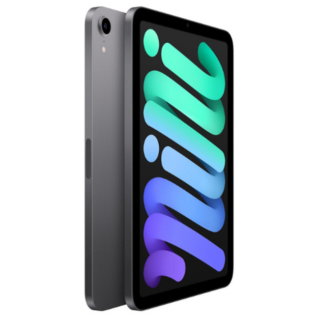 Apple 6th Gen iPad Mini 8.3" 256 GB Grey