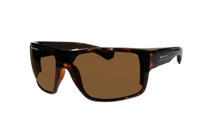 bomber shiny tortise fm brown polarized