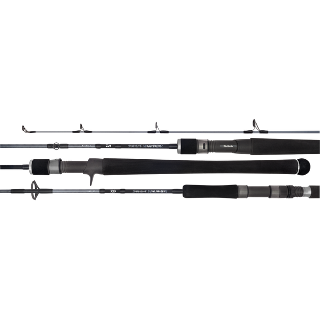 daiwa td saltwater sj66 2 5 66 90 180g pe3 spin