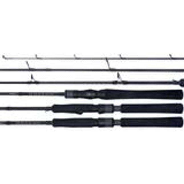 daiwa saltist sj200 td blk pirate 661xhb