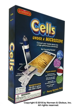 cells 40 page book and materials