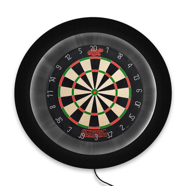 eva dartboard lighting system
