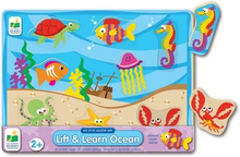 my first lift and learn ocean